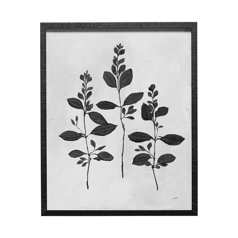Botanical Study IV image number 0