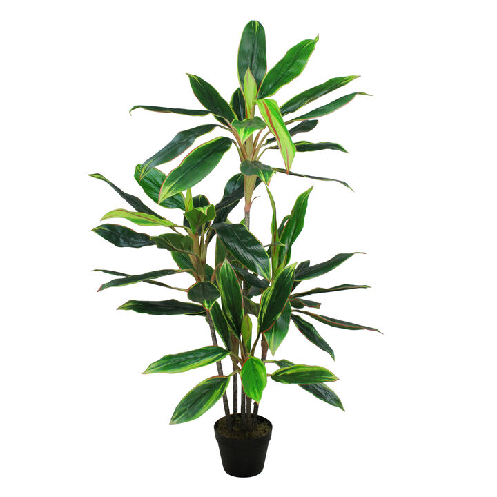 55" Green and Red Potted Two Tone Dracaena Artificial Plant