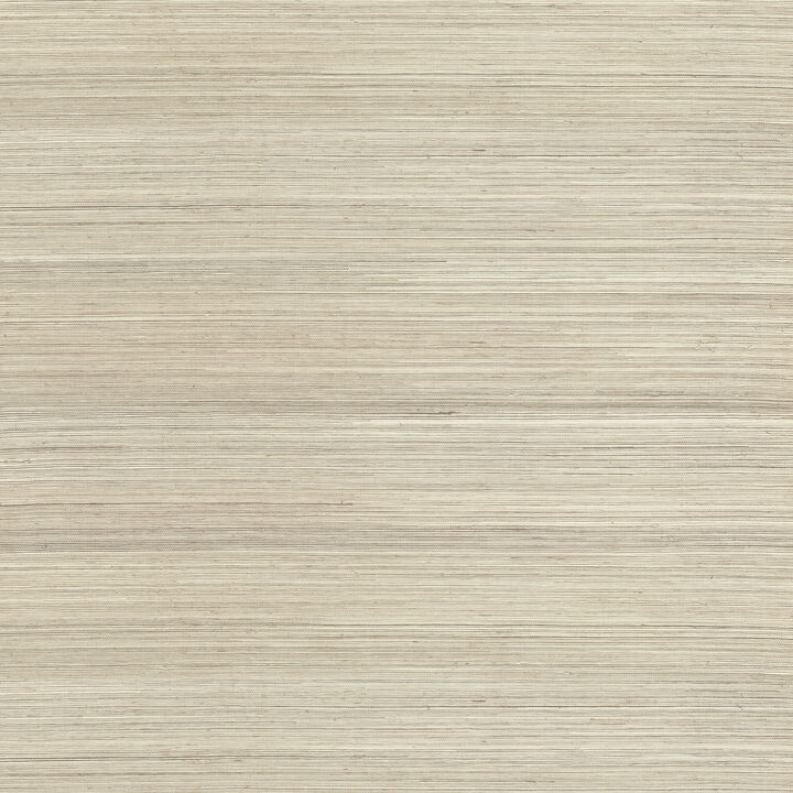 Changzhou Beige Grasscloth Wallpaper (Set of 2)