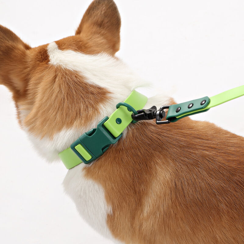 Luna Adjustable 6-in-1 Waterproof Hands-Free Leash and Collar with LED Flashlight