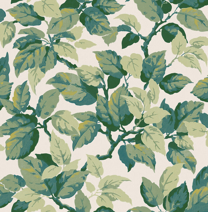 Canopy Green Leaf Wallpaper (Set of 2)