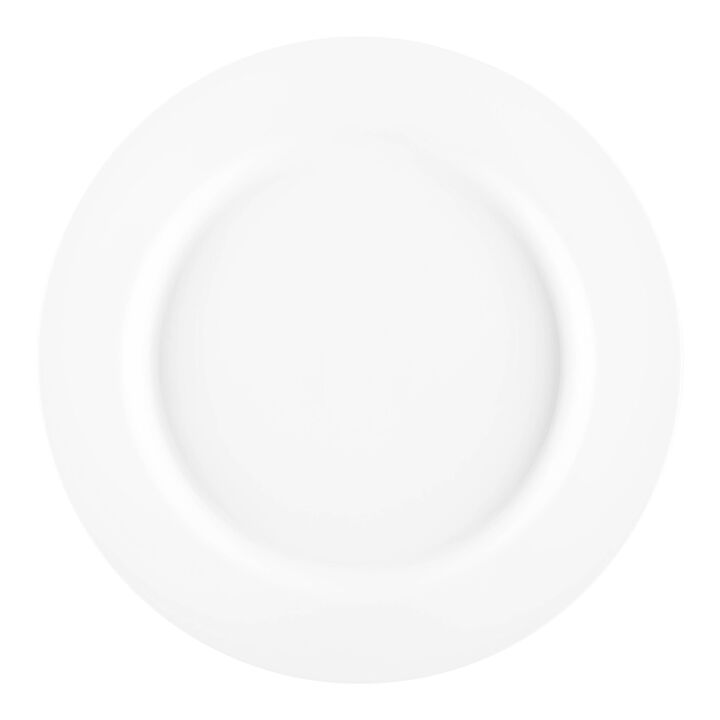10" Matte Milk White Round Plastic Dinner Plates (120 Plates)