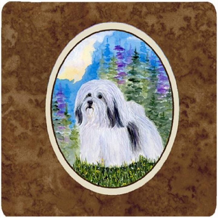 Caroline's Treasures SS1034FC Havanese Foam Coasters (Set of 4), 3.5 H x 3.5 W, Multicolor