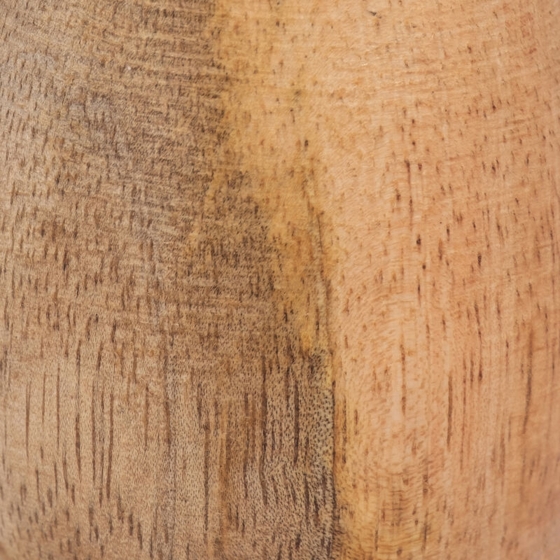 Wood Coned Mushroom image number 2