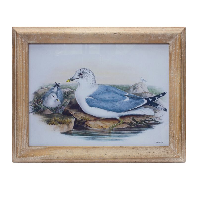 Sea Bird Print Under Glass &ndash; Framed Coastal Wall Art for Home, Office, and Nautical Living Room Decor