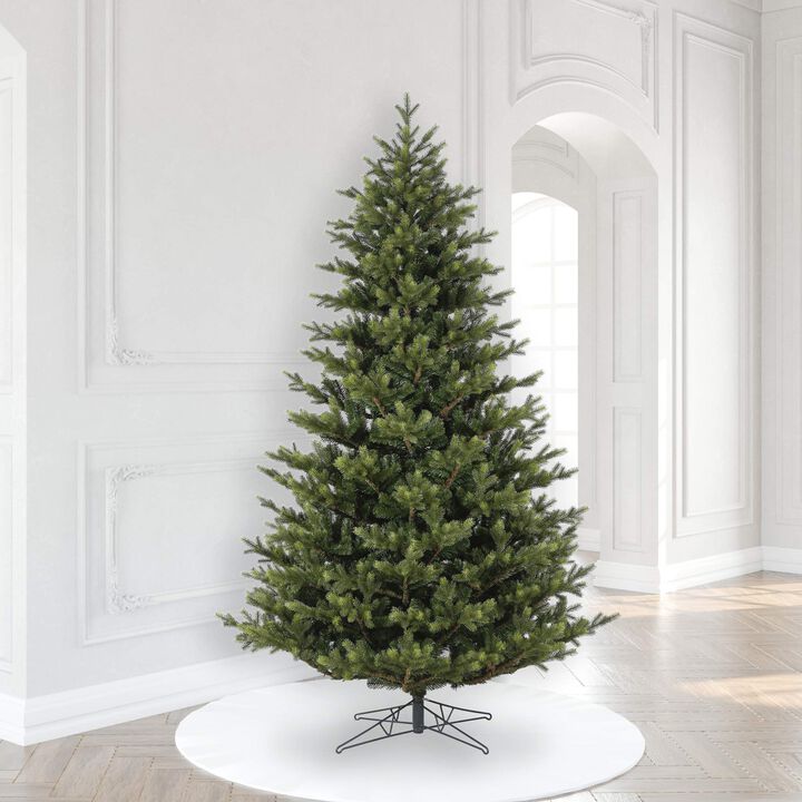 Welch Fraser Fir