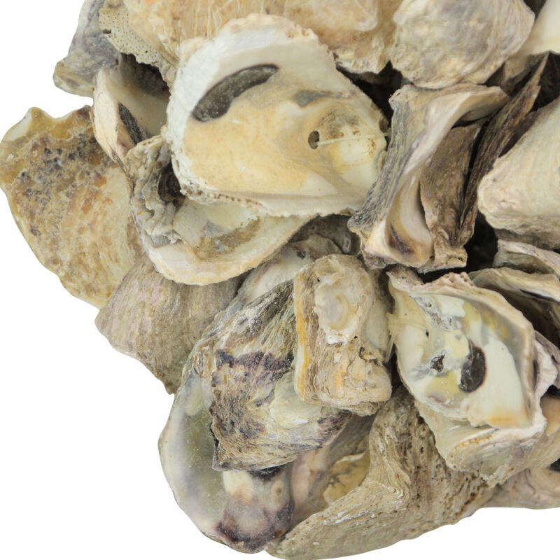 Handcrafted Hanging Coastal 9-Inch Oyster Shell Sphere - Home Beach Ornament image number 3