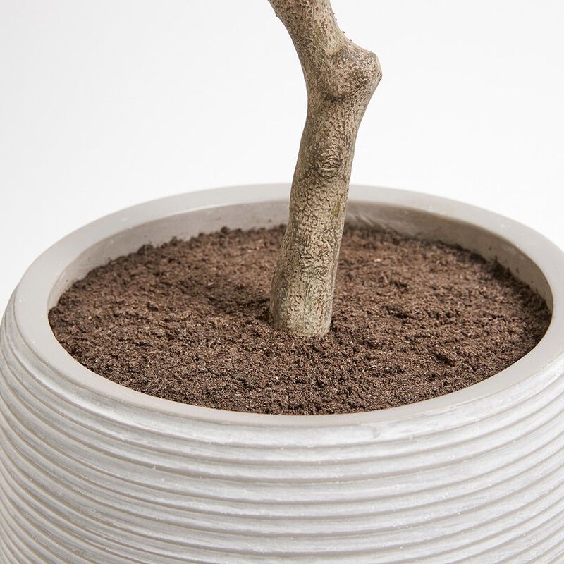 Artificial Olive Topiary Tree with Mediterranean Pot image number 5