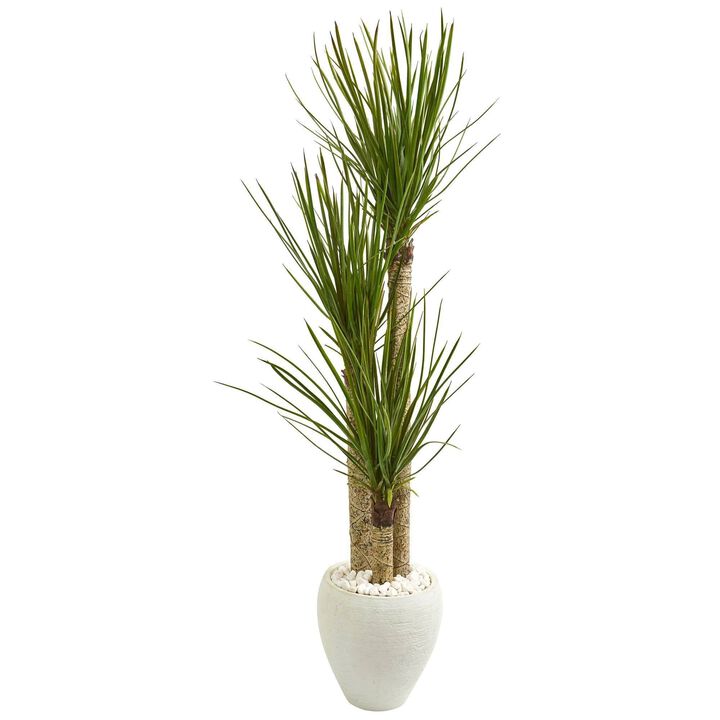 Nearly Natural 5.5-in Yucca Artificial Tree in White Planter