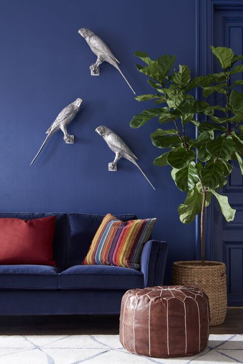 Parrot Looking Left Wall Art