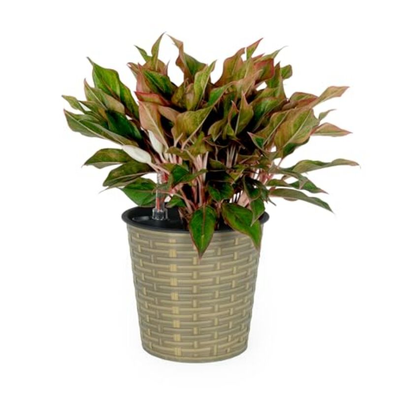 13.4" Self-watering Wicker Decor Round Planter for Indoor and Outdoor image number 6