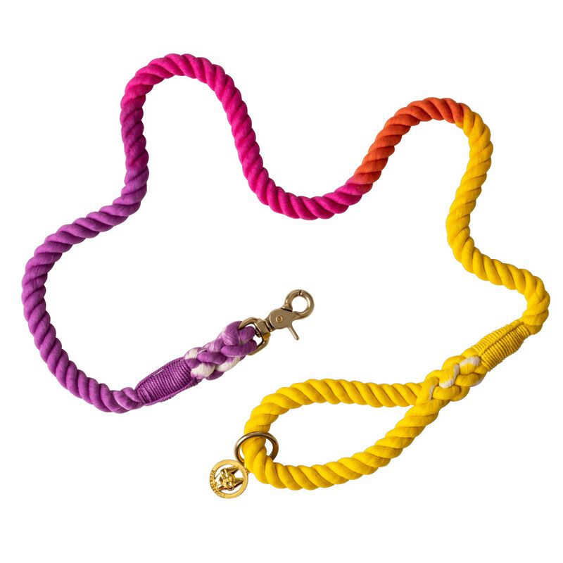 Roxy Rope Dog Leash image number 0