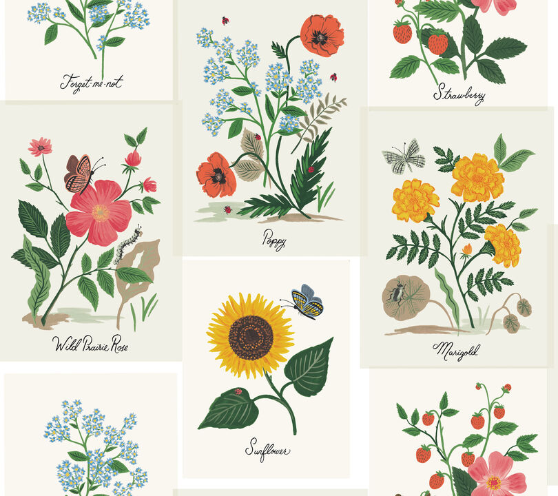 Botanical Prints White & Pink Wallpaper