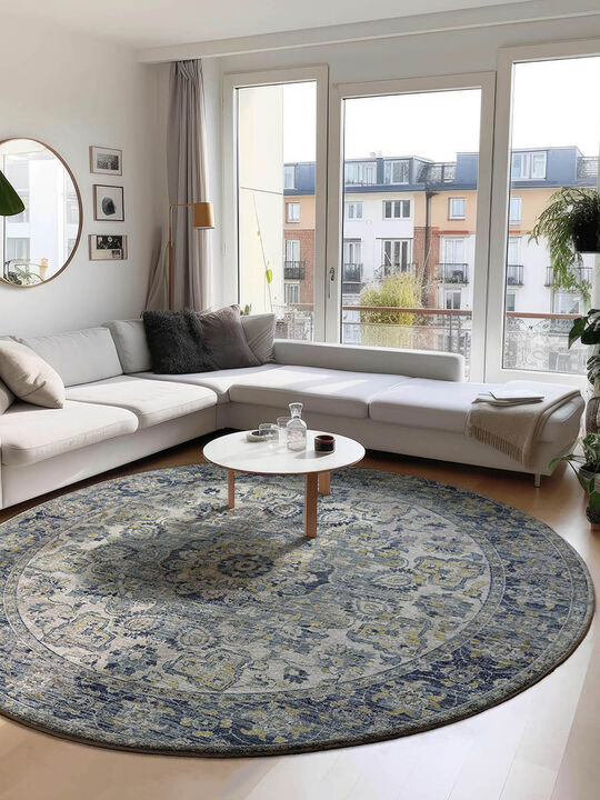 Tuscany TU1 Silver 6' Rug