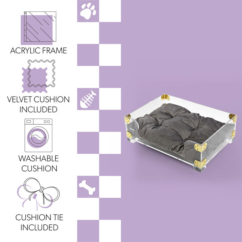 Haines Small/Medium Modern Lucite Velvet Pet Bed with Washable Cushion