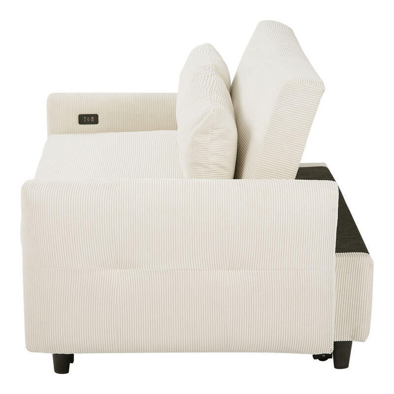 Merax Pull-out Sofa Bed Convertible Couch
