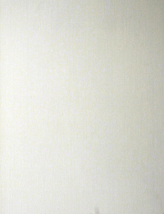 Gael Paintable Stucco Paintable Wallpaper