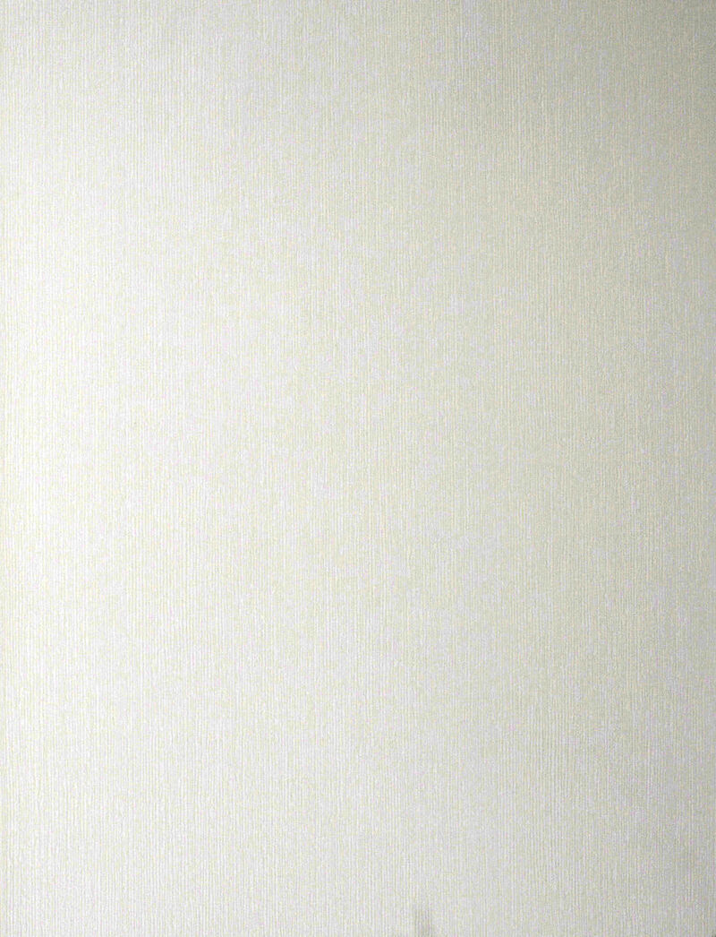 Gael Paintable Stucco Paintable Wallpaper image number 0