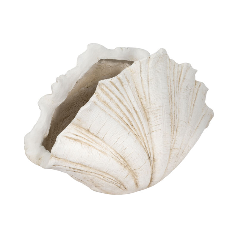 22" Scallop Shell Decor, White image number 2
