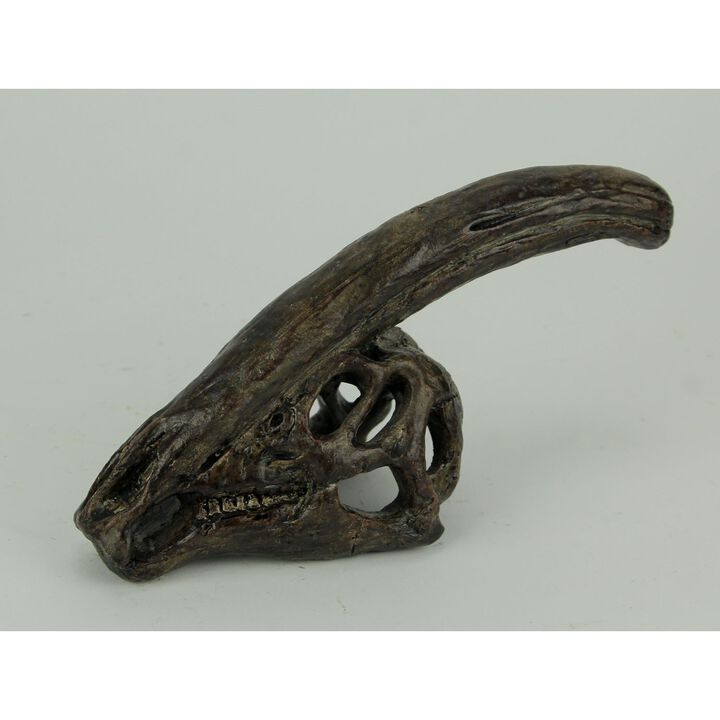 8 In Parasaurolophus Dinosaur Skull Fossil Resin Statue Home Office Decor