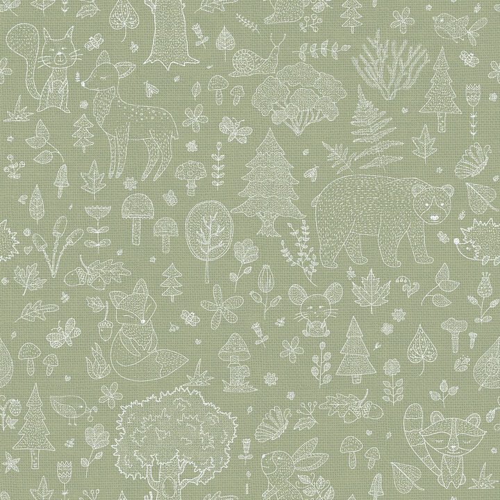 Little Explorers 2 Kids Green Wallpaper 14805