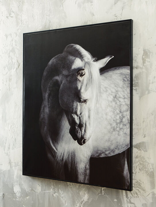 Archerwick Horse Wall Art