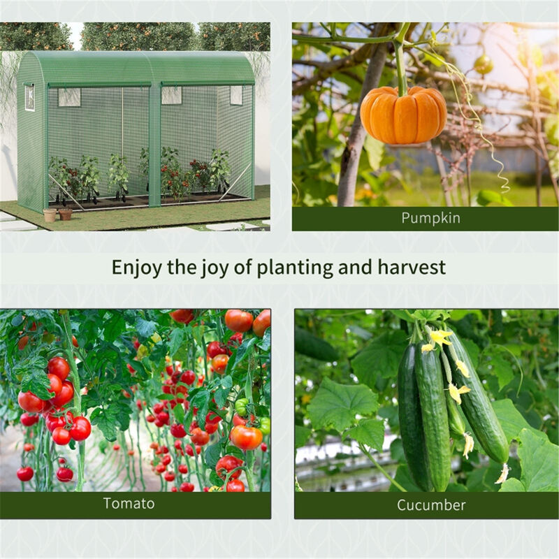 Portable Walk-in Greenhouse for Backyard Patio and Garden Use