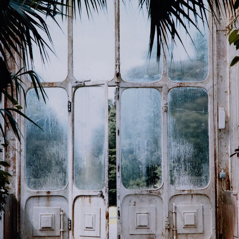 Greenhouse II by Annie Spratt