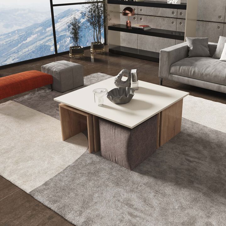 Haley Coffee Table & Ottoman Set in Brown