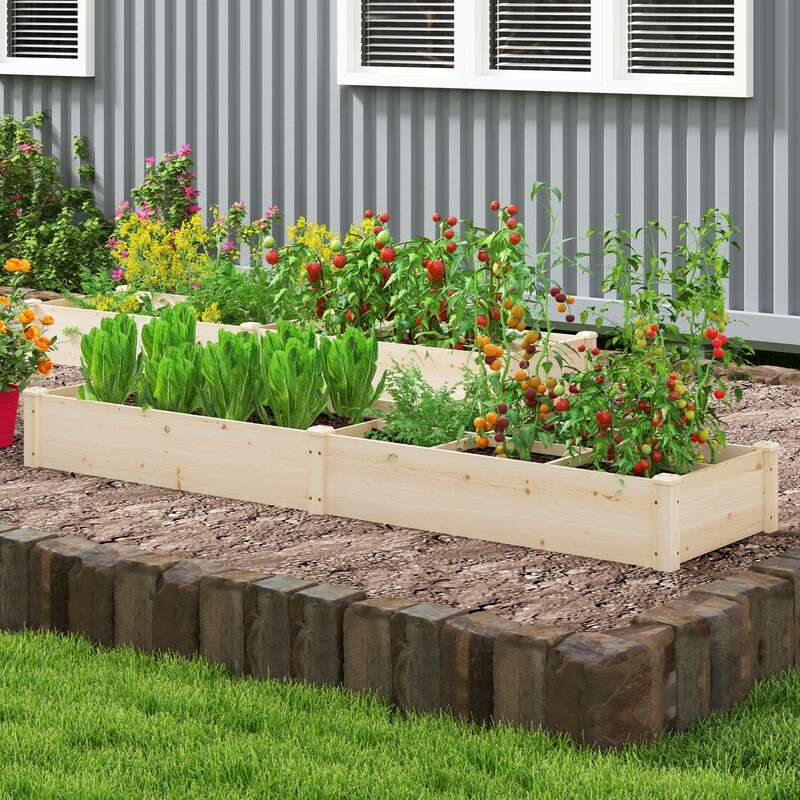 Raised Open-Ended Base Garden Bed with 2 Planter Boxes Divider