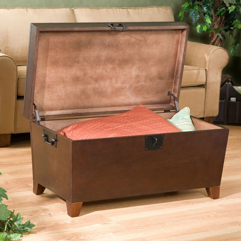 Contemporary Lift-Top Coffee Table with Hidden Storage Trunk and Modern Design