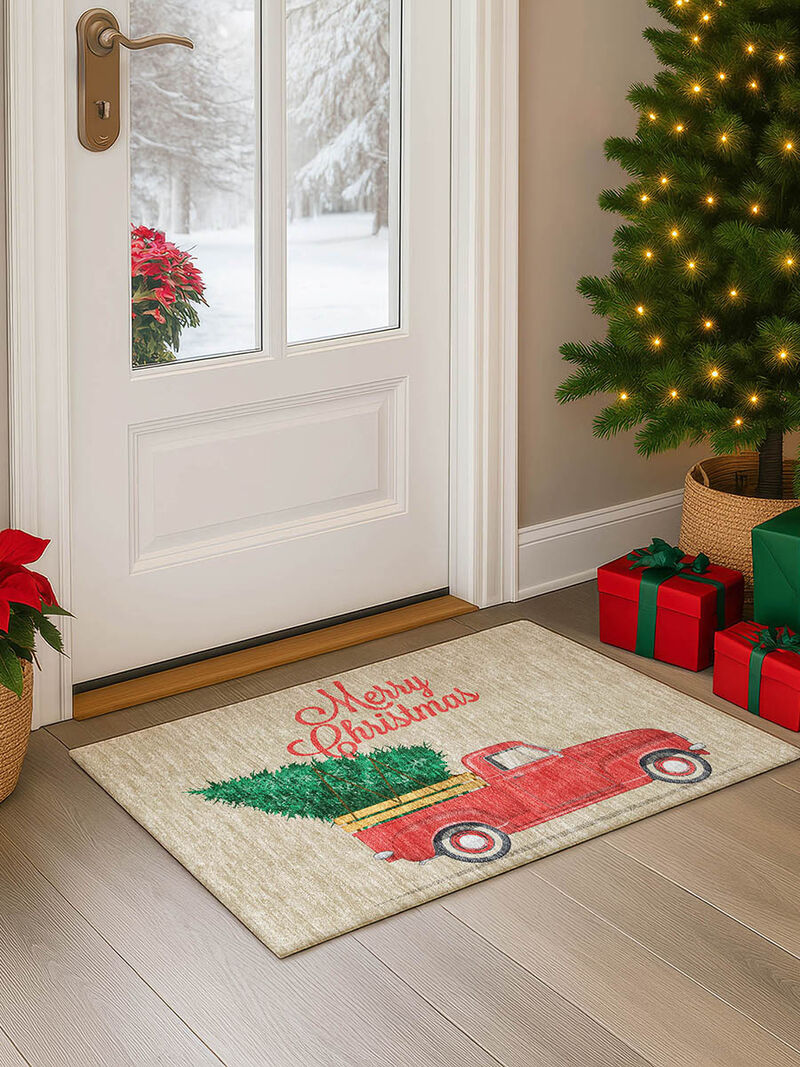 Merry & Bright MY4 20" x 30" Rug
