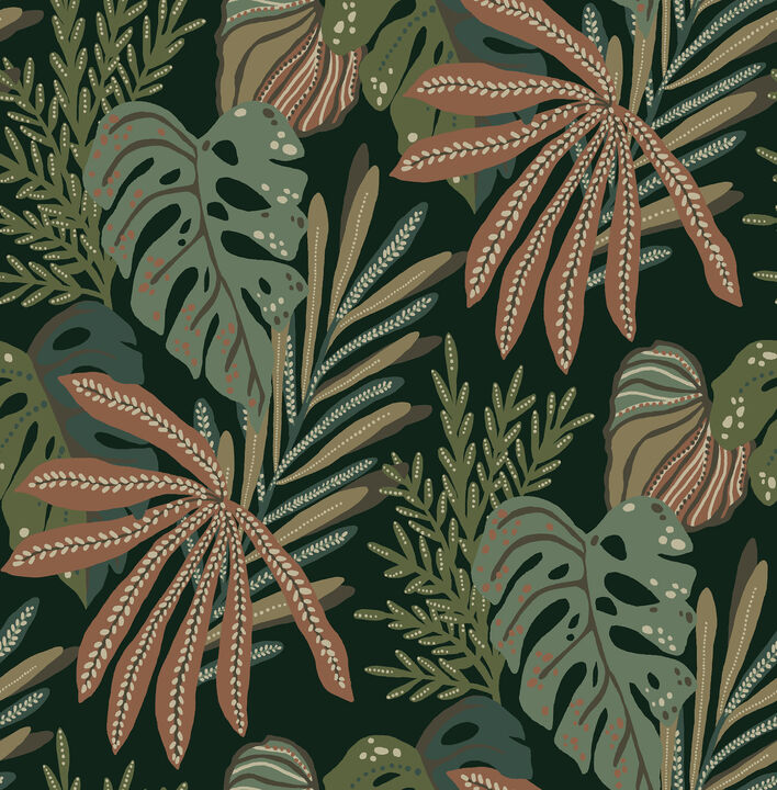 Alocasia Multicolor Tropical Foliage Wallpaper