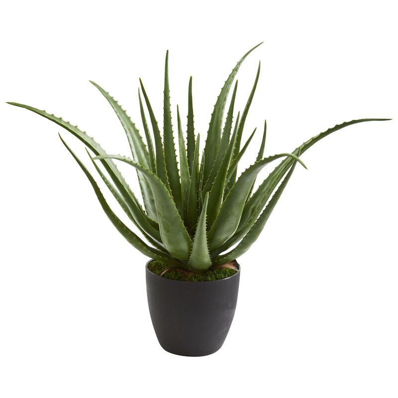 Hivvago Aloe Artificial Plant