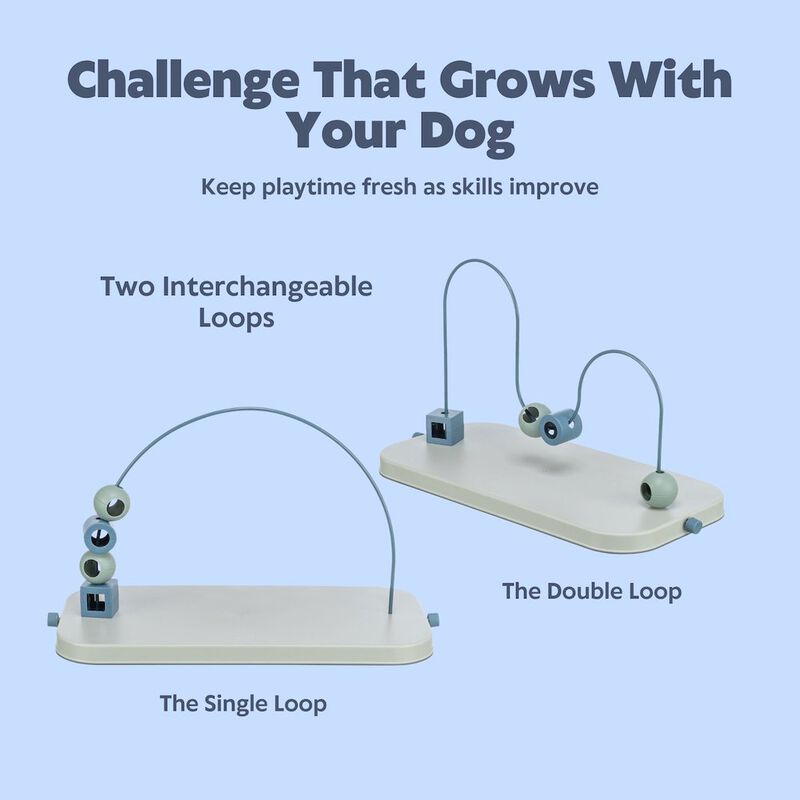 TRIXIE Dog Activity Skills Loop Strategy Game, Level 4 Advanced Food Puzzle image number 6
