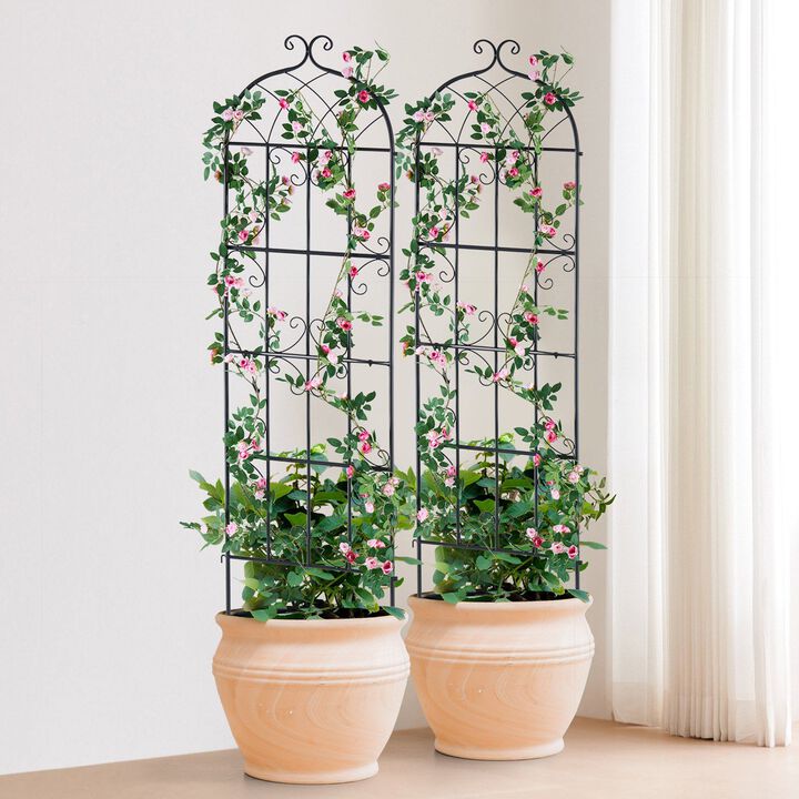 Outdoor Garden Trellis 2-Pack, Metal Climbing Plant Support for Flowers & Cucumbers-Black