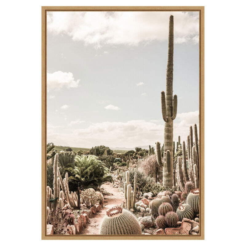 Cactus Farm by Shot by Clint Framed Canvas Wall Art image number 0
