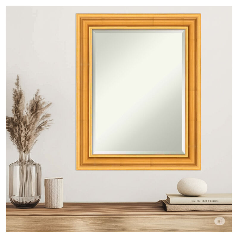 Sierra Beveled Wood Framed Wall Mirror image number 7