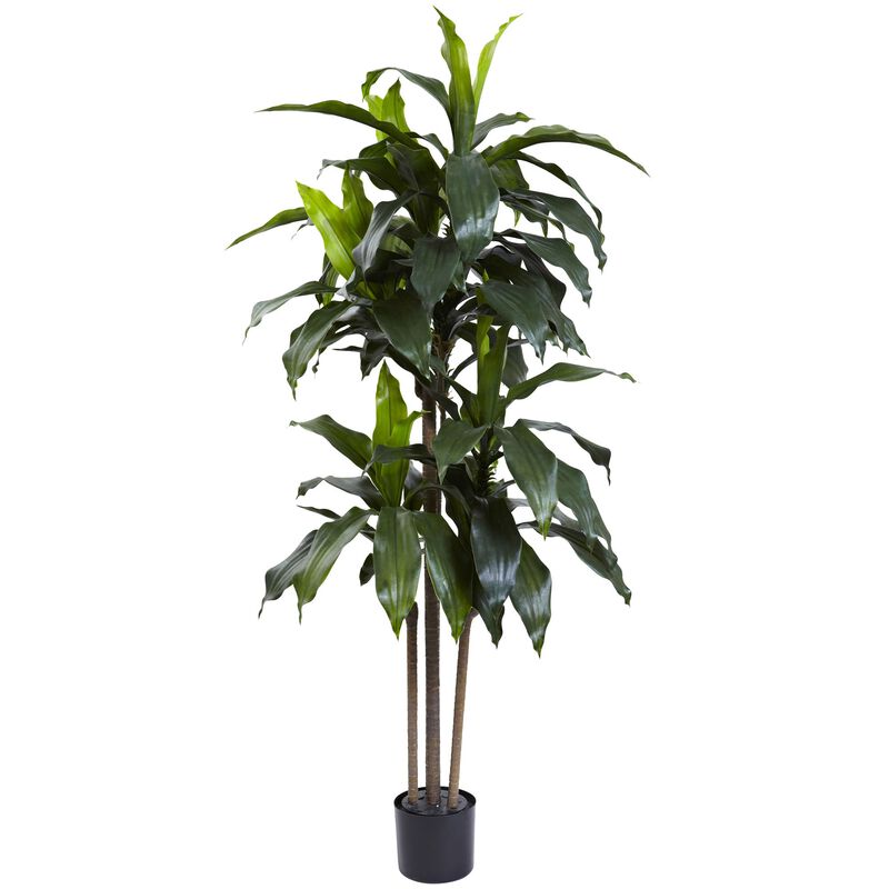 Hivvago 5 Feet Dracaena Plant UV Resistant (Indoor/Outdoor)
