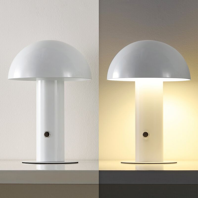 Boletus Contemporary Bohemian Rechargeablecordless Iron Integrated LED Mushroom Table Lamp