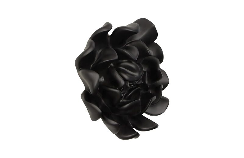 Topsy Turvy Succulent Wall Art in Matte Black