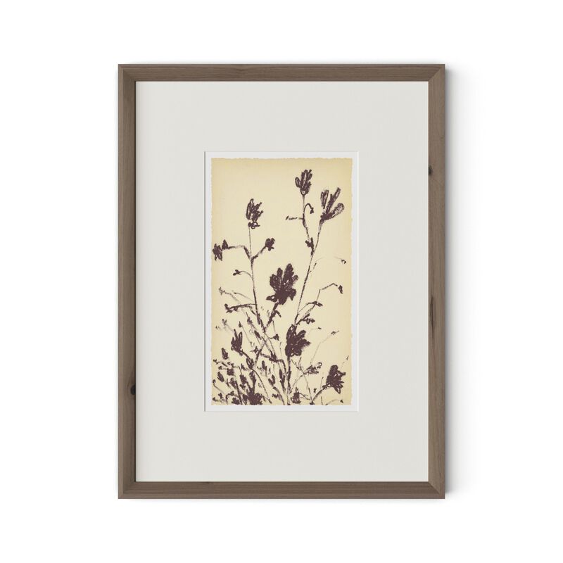 Meadow Rue No.3 by Shaina Page image number 0