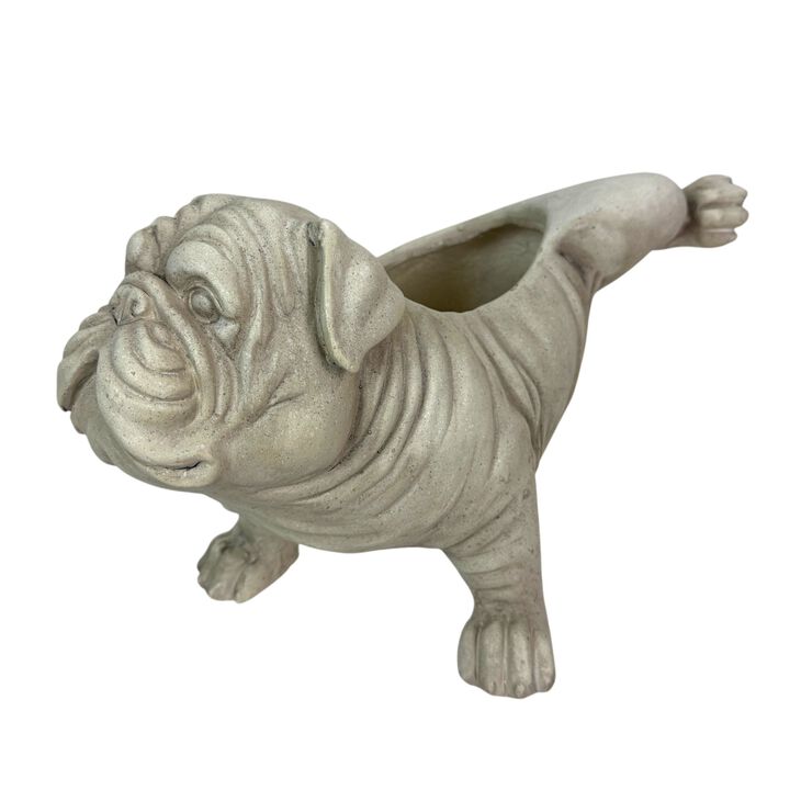 Bulldog Planter Antique Stone Finish Magnesium Oxide Dog Planter Decor