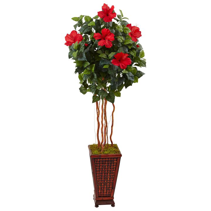 HomPlanti 5 Feet Hibiscus Tree in Decorated Wooden Planter