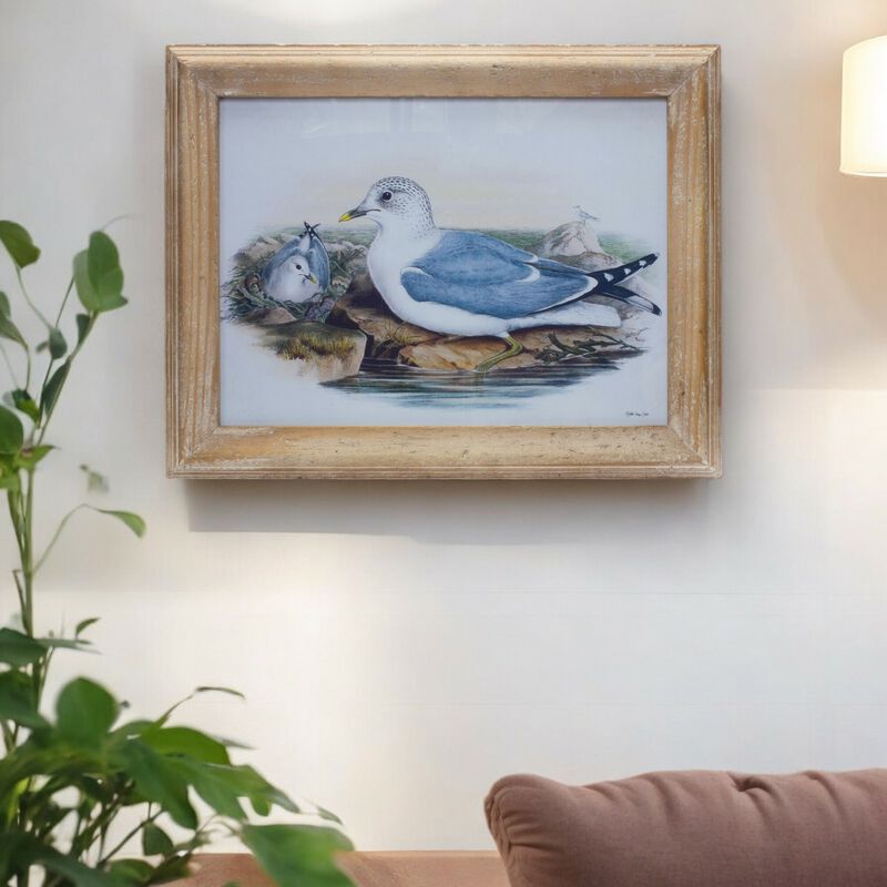 Sea Bird Print Under Glass &ndash; Framed Coastal Wall Art for Home, Office, and Nautical Living Room Decor