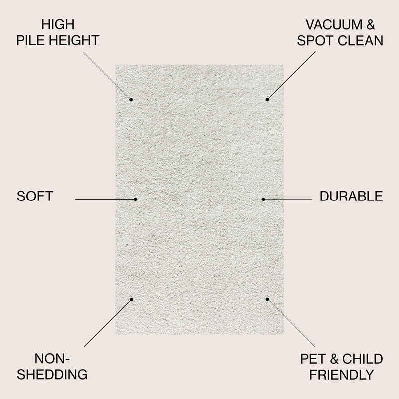 Mercer Shag Plush Area Rug