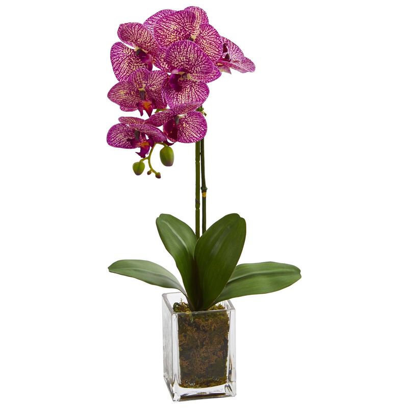 Nearly Natural 24-in Orchid Phalaenopsis Artificial Arrangement in Vase image number 1