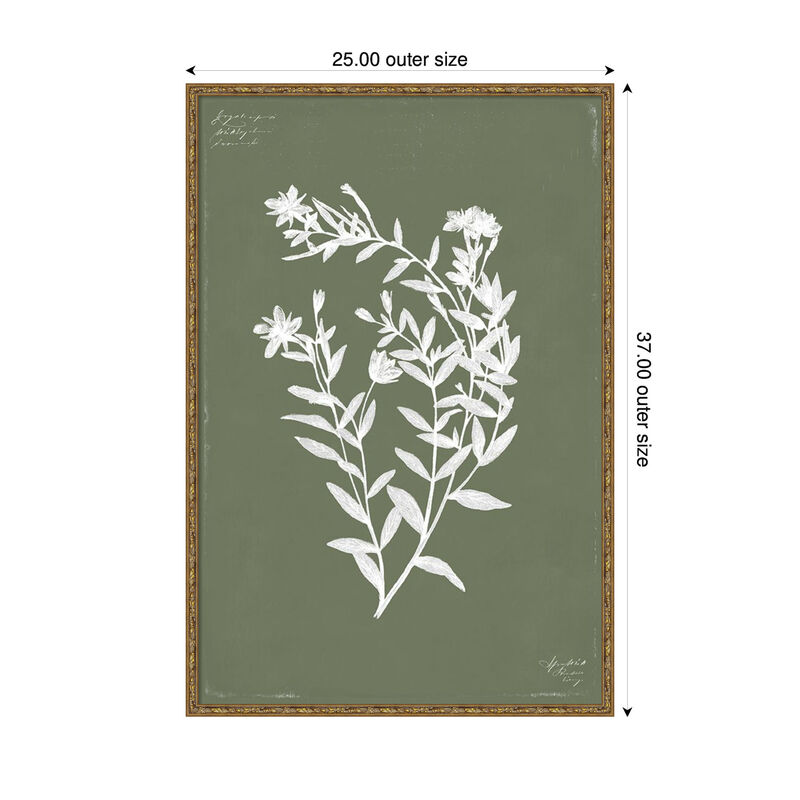Botanical Garden III by PI Studio Framed Canvas Wall Art image number 2