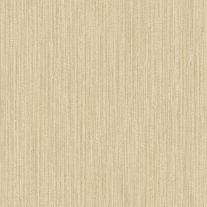 Palazzo 2 Plain Texture Gold Wallpaper G67656