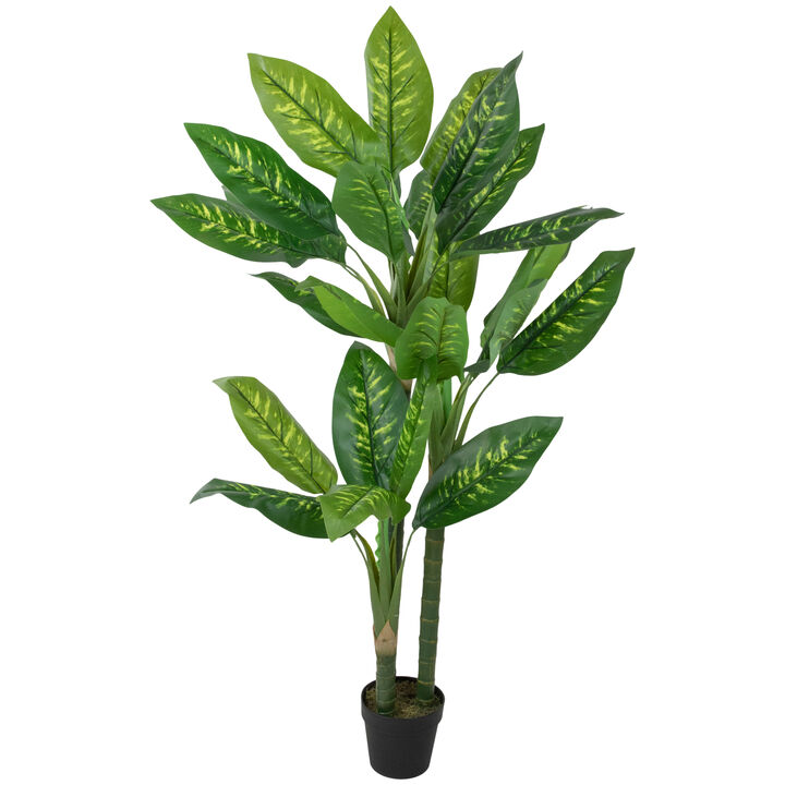 59" Artificial Wide Leaf Green Dieffenbachia Potted Plant